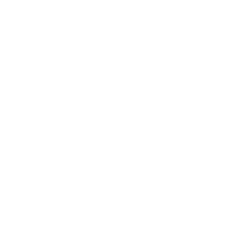 calendrier 1 LP VITA PV 2025